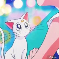 お酢 1人目妊活3/10採卵 (@osuosuosu1010) 's Twitter Profile