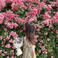 マナ (@mana1956524) 's Twitter Profile