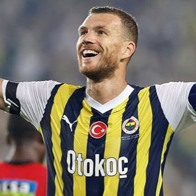 sadecefener31's profile picture. FENERBAHÇE