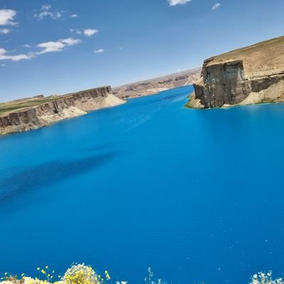 MESBAMolwe57761's profile picture. 