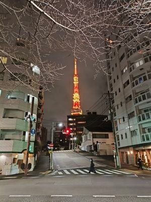 StartCrypto2025's profile picture. 緊急退避yo