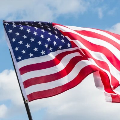 Crazywolf1101's profile picture. USA