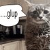 gato glup (@renferencias) Twitter profile photo gato glup (@renferencias) Twitter profile photo