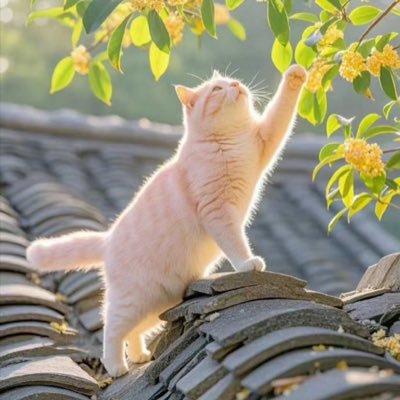 zcnpgj9's profile picture. 