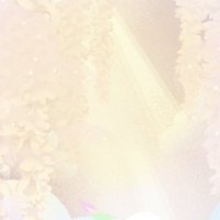 わたぬき (@skrhn_gt) 's Twitter Profile