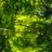 mope040907's profile image