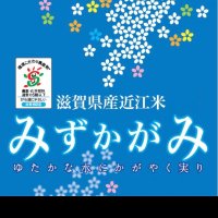 きらみずき (@kiramizuki888) 's Twitter Profile