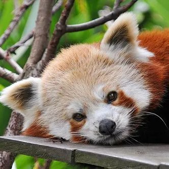 WedoAIFun's profile picture. 裏は都内の普通のOLです！SNS副業が大好きでショート動画を中心にマネタイズしてます。SNSマーケ✖️AIの情報を積極的に発信していきます！