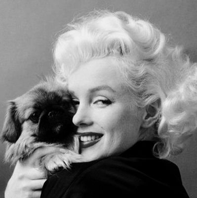 lifetimepromise's profile picture. 趣味・グルメ・旅🍃辛口です.破滅寸前の 歳の差カップル👫仲良しな時と彼の情緒不安定な時の落差が激し目です⚡️☔️遠距離恋愛毎日奮闘中p(^_^)q海外一緒に行ってくれる方募集🙋‍♀️✈️✨