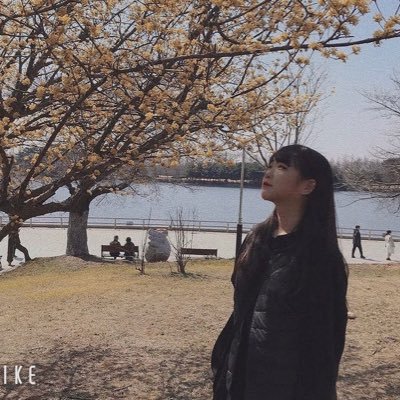 OsakaAman's profile picture. 北大阪の鷹ファン