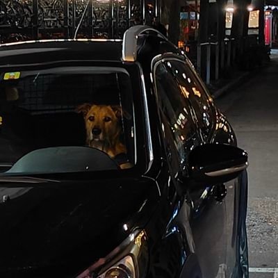 bobomany24494's profile picture. 