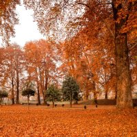 Hashtag_Kashmir (@sher_i_kashmir) 's Twitter Profile Photo