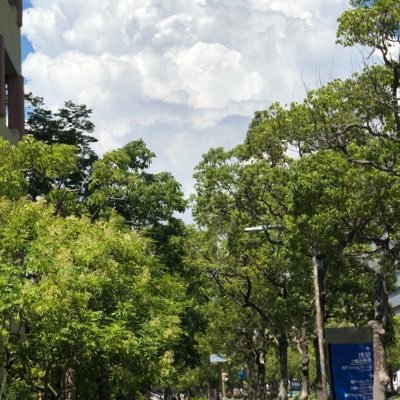 Street52nd's profile picture. 