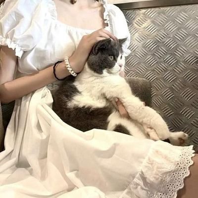 FuZigh14792's profile picture. 私は日本の大阪出身で、身長168cm、活発で明るい性格です。居酒屋に行って友達を作るのが好きです。