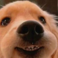 ๊ฐํ๋ ๊ฐค๋ฌ๋ฆฌ (@kanghannagall) 's Twitter Profile Photo ๊ฐํ๋ ๊ฐค๋ฌ๋ฆฌ (@kanghannagall) 's Twitter Profile Photo