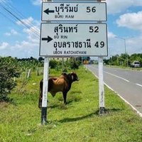 นินจาดำ (@t4sw9mnt4tcvndq) 's Twitter Profile