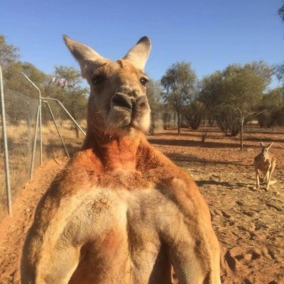 Jyxlor's profile picture. 17