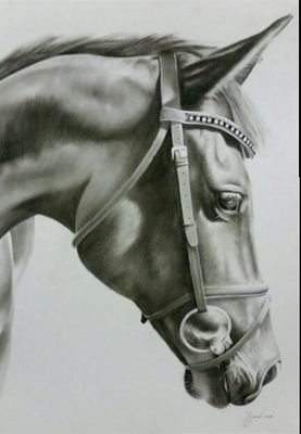 LizePerdig84716's profile picture. 