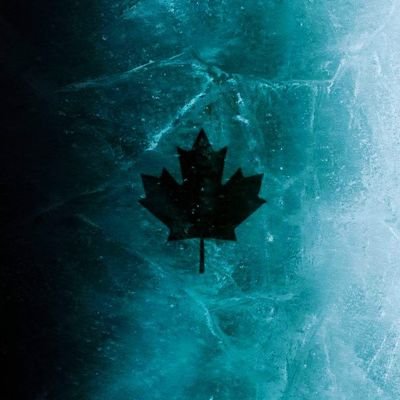 David99160182's profile picture. YouTube channel David Doughnut Games