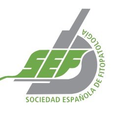 SOCIEDAD ESPAÑOLA DE FITOPATOLOGÍA (SEF) Spanish Phytopathological Society, bringing plant pathologists together. Retweets/follows are not endorsements.