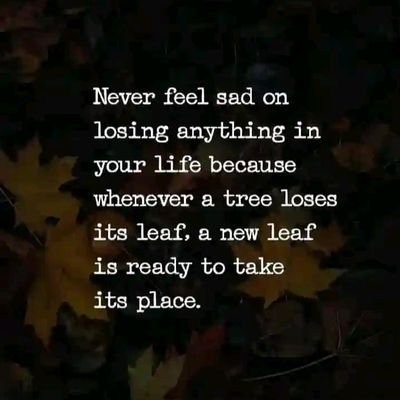 step32125's profile picture. Content Writer|| Big dreams