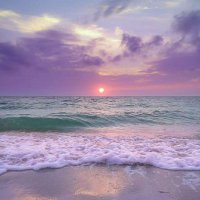 🇵🇸يمني حر 🇾🇪 (@00985_0) 's Twitter Profile