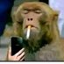 thulas (@thulasncube) Twitter profile photo thulas (@thulasncube) Twitter profile photo