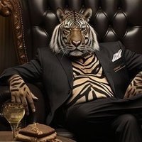 شیرخان 🎩 (@shirkhaan69) 's Twitter Profile Photo شیرخان 🎩 (@shirkhaan69) 's Twitter Profile Photo