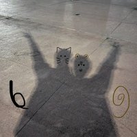 𝗠 𓂃 𓈒𓏸 ツイフィ必読 (@oo_wr_oo) 's Twitter Profile
