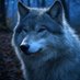 tyrrruyr (@tyrrruyr) Twitter profile photo tyrrruyr (@tyrrruyr) Twitter profile photo