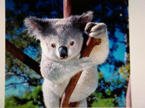 page292's profile picture. 