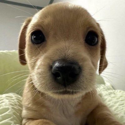 jkzzzdh Profile Picture