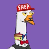 MetaGrat (@metagrat) 's Twitter Profile Photo MetaGrat (@metagrat) 's Twitter Profile Photo