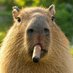 Molibdenowy_Janusz (@molibdenowy_jan) Twitter profile photo Molibdenowy_Janusz (@molibdenowy_jan) Twitter profile photo