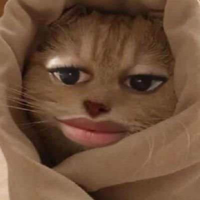 CHIBIUDO's profile picture. Sou legal e estranho
assinem pfvr