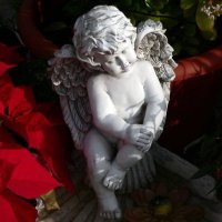 Balttis (@jukkamantyvaara) 's Twitter Profile Photo