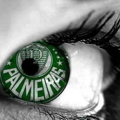 só sigo se for de DIREITA ! SDV 👍🏻👍🏻👍🏻💥home - 🇺🇸 #Palmeiras💚🐷 💥NÃO RESPONDO DM💥