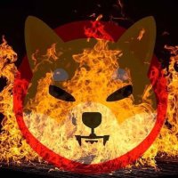 bianthasi.sol (@bianthasisol) 's Twitter Profile