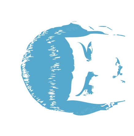 dauinila's profile picture. 