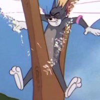 Frost (@edenfrost214) 's Twitter Profile