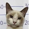 WonderU360's profile picture. https://t.co/Lj9mB6kOje