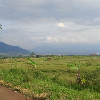 riki08king's profile picture. 