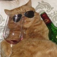 me (@totallynotmee__) 's Twitter Profile