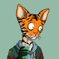 Solc3t (@solc3t) 's Twitter Profile