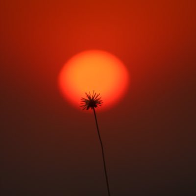 Ankkkiiiiii's profile picture. 