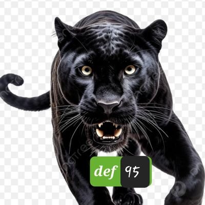 Def951338's profile picture. 