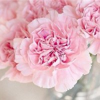 かずえ (@kazue9614878082) 's Twitter Profile