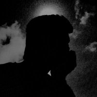 Wiseguy🌱 (@wiseguydv6) 's Twitter Profile