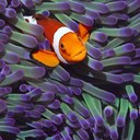 abdullah kabli - @KabliH - Twitter