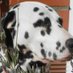 montpall (@montpall) Twitter profile photo montpall (@montpall) Twitter profile photo